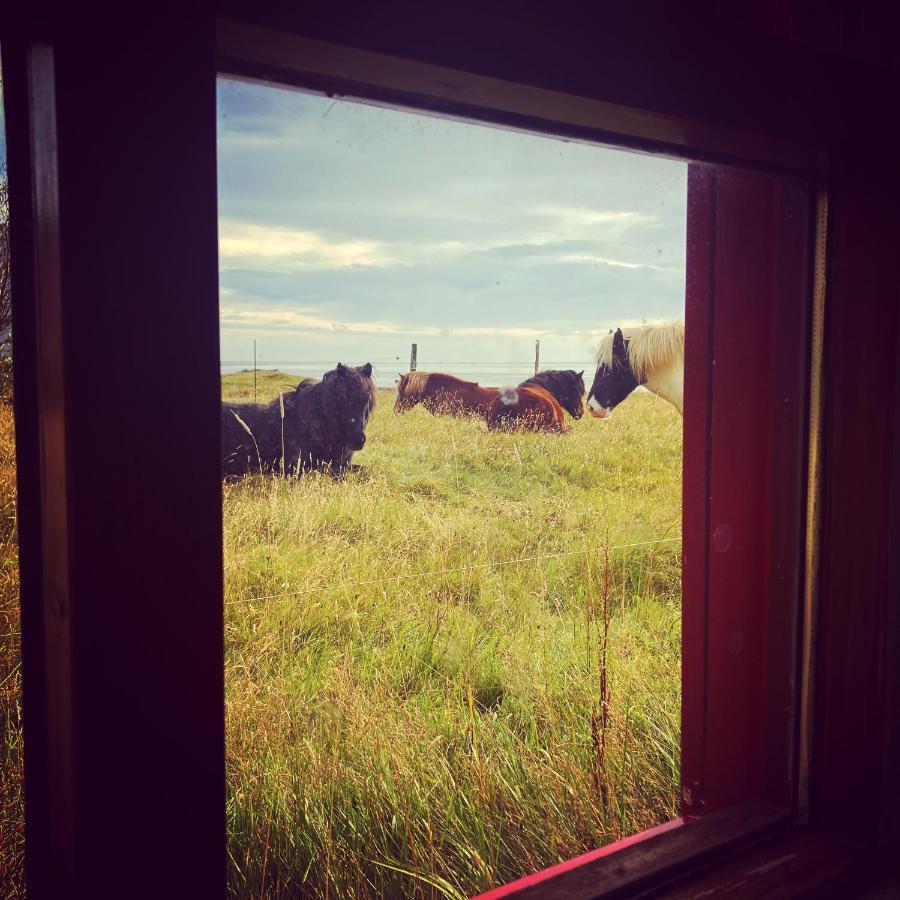 Dynjandi Guesthouse Höfn Buitenkant foto
