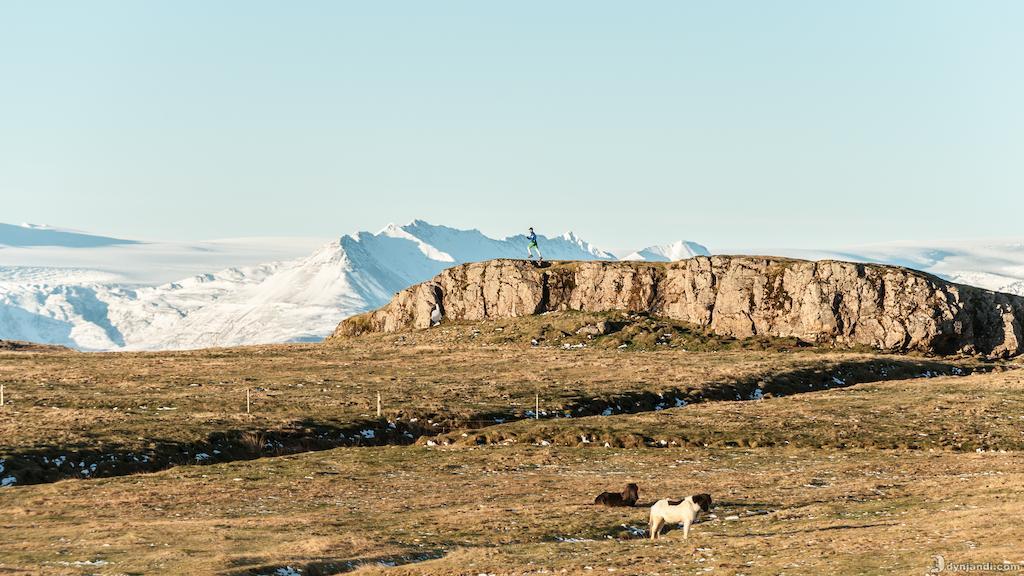 Dynjandi Guesthouse Höfn Buitenkant foto